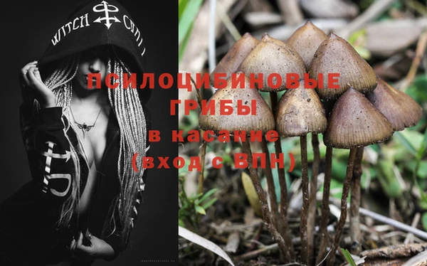 прущие крисы Волоколамск