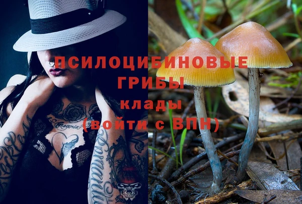 прущие крисы Волоколамск