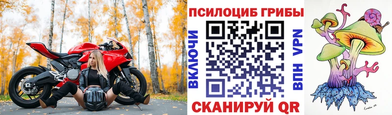 Купить где  Суджа  Псилоцибиновые грибы Magic Shrooms 