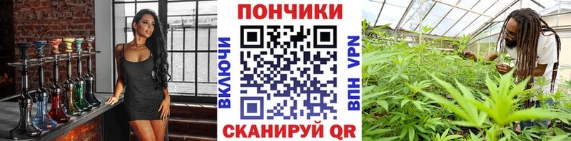 Купить  Суджа  Бошки Шишки White Widow 